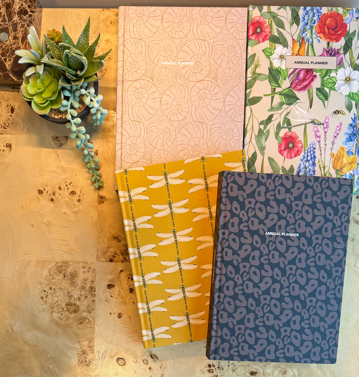 Four patterned planners on a desk with a small plant.