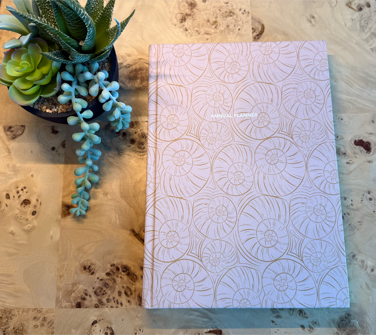 Shell Patterned planner on a marble desk with a small plant.