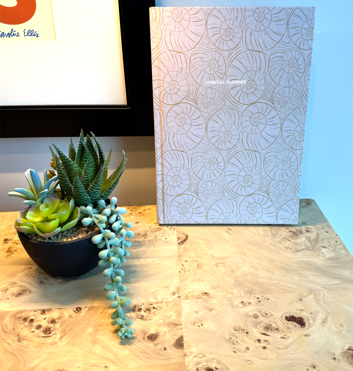 Shell pattern planner on a desk surface with a plant.