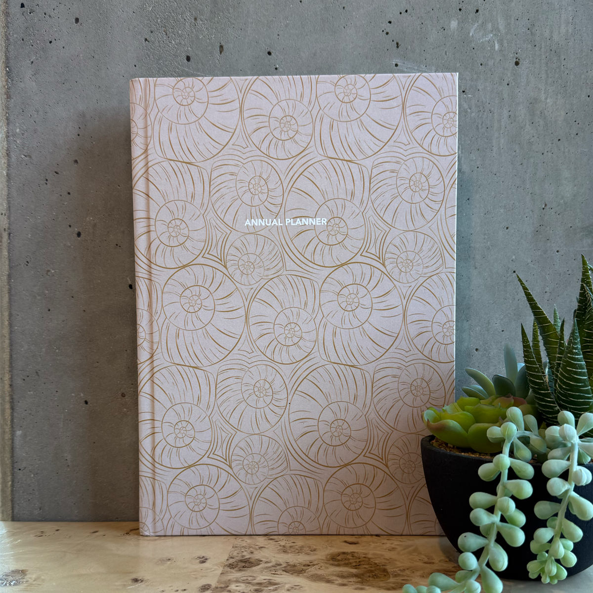 Annual planner with decorative shell print on a concrete desk with plants